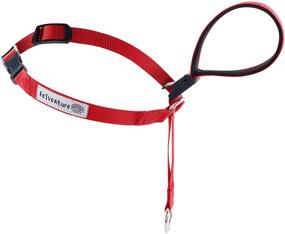 img 4 attached to 🐾 PetVenture No Pull Dog Collar: The Ultimate Leash & Harness Training Solution for Dogs of all Sizes - Stop Pulling & Choking on Walks!