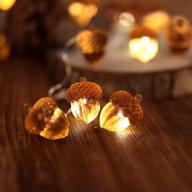 🍂 thanksgiving acorn lights fall garland decorative fairy string lights | cute novelty lights - 30 leds | 10 ft usb operated | bedroom wedding xmas harvest décor logo