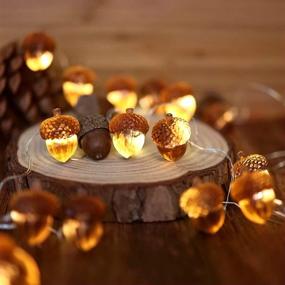 img 1 attached to 🍂 Thanksgiving Acorn Lights Fall Garland Decorative Fairy String Lights | Cute Novelty Lights - 30 LEDs | 10 ft USB Operated | Bedroom Wedding Xmas Harvest Décor