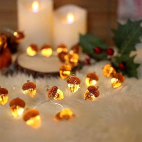 img 3 attached to 🍂 Thanksgiving Acorn Lights Fall Garland Decorative Fairy String Lights | Cute Novelty Lights - 30 LEDs | 10 ft USB Operated | Bedroom Wedding Xmas Harvest Décor