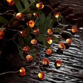 img 2 attached to 🍂 Thanksgiving Acorn Lights Fall Garland Decorative Fairy String Lights | Cute Novelty Lights - 30 LEDs | 10 ft USB Operated | Bedroom Wedding Xmas Harvest Décor