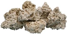 img 1 attached to 🪨 Premium Natural Coral Base Rock: 20 lbs, 4-8 INCHES Size