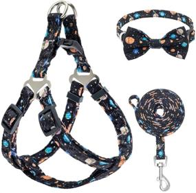 img 4 attached to 🐾 PUPTECK Dog Harness Collar Leash Set - No Pull Halter Harness for Small to Medium Dogs - Adjustable, Perfect for Walking, Running, and Training - 3 Pack