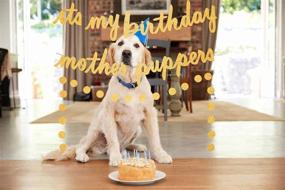 img 2 attached to Golden Glitter Dog Birthday Banner | Puppy Party Decorations, Dog's 1st Birthday Banner, It's My Birthday Mother Puppers Banner | Puppy Dog Birthday Party Supplies