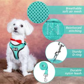 img 1 attached to 🐱 Escape-Proof WINSEE Cat Harness and Leash with 4 Buckles for Outdoor Walking - Safe, Reflective, Adjustable, Breathable Vest for Small Medium Large Cats and Small Dogs