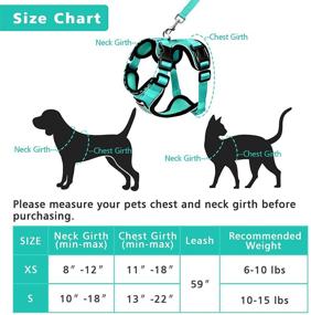 img 3 attached to 🐱 Escape-Proof WINSEE Cat Harness and Leash with 4 Buckles for Outdoor Walking - Safe, Reflective, Adjustable, Breathable Vest for Small Medium Large Cats and Small Dogs