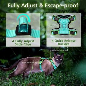 img 2 attached to 🐱 Escape-Proof WINSEE Cat Harness and Leash with 4 Buckles for Outdoor Walking - Safe, Reflective, Adjustable, Breathable Vest for Small Medium Large Cats and Small Dogs