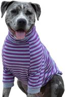 🐶 tooth & honey big dog stripe shirt: enhanced belly coverage for large dogs - purple and grey pitbull shirt logo