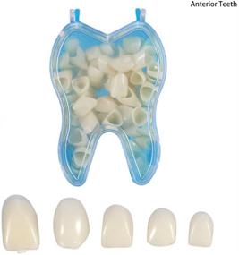 img 1 attached to 🦷 Улучшите свою улыбку с помощью 100 материалов для временной коронки в форме зубов для переднего антенийра и моляровых зубов.