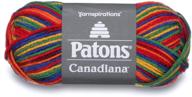 🌈 rainbow variegate patons canadiana varg yarn logo