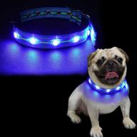 🐶 usb rechargeable led dog collar - water resistant light up collar with glowing modes - blue m size logo