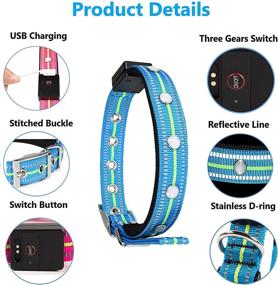 img 2 attached to 🐶 USB Rechargeable LED Dog Collar - Water Resistant Light Up Collar with Glowing Modes - Blue M Size