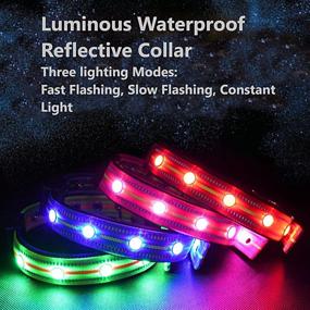 img 3 attached to 🐶 USB Rechargeable LED Dog Collar - Water Resistant Light Up Collar with Glowing Modes - Blue M Size