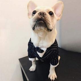 img 4 attached to 🐶 PETVINS Dog Tuxedo Costume with Bowtie, Pet Stripe Formal Suit Wedding Clothes, Prince Shirt Party Clothes for Small Medium Dog