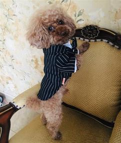 img 1 attached to 🐶 PETVINS Dog Tuxedo Costume with Bowtie, Pet Stripe Formal Suit Wedding Clothes, Prince Shirt Party Clothes for Small Medium Dog