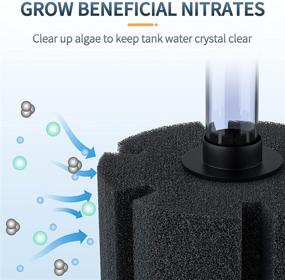 img 3 attached to 🐠 Pawfly Large Bio Sponge Filter - Quiet Betta Fry Shrimp & Small Fish Foam Filter for Fish Tank (Up to 60 Gallon)