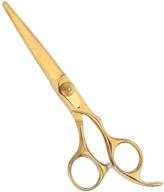 cutting scissors professional stainless hairdressing hair care logo