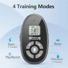 img 2 attached to Rechargeable Dog Training Collar with Remote - 4 Training Modes, Beep, Vibration, Static Shock - 1000Ft Range - Waterproof & Safe for Large, Medium, Small Dogs - Recording Playback - MODUS Dog Collar