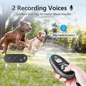 img 3 attached to Rechargeable Dog Training Collar with Remote - 4 Training Modes, Beep, Vibration, Static Shock - 1000Ft Range - Waterproof & Safe for Large, Medium, Small Dogs - Recording Playback - MODUS Dog Collar