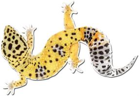 img 3 attached to Adorable Leopard Gecko Pet Lizard