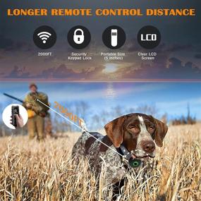 img 1 attached to 🐶 Rechargeable Dog Training Collar with Remote - 3 Modes: Beep, Vibration, Shock - Waterproof E-collar for Medium, Large, Small Dogs