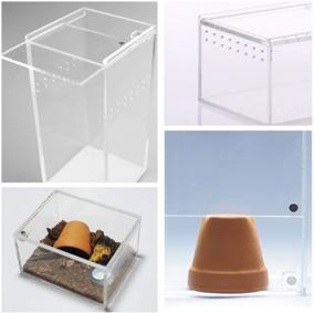 img 3 attached to 🐍 2 Pack Acrylic Reptile Terrarium and Insect Enclosure Tank - Tarantulas, Snails, Spiders, Lizards, Roaches, Isopods, and More - Transparent Mini Critter Keeper and Feeding Box for Invertebrates - Ideal Insect Carrier Habitat