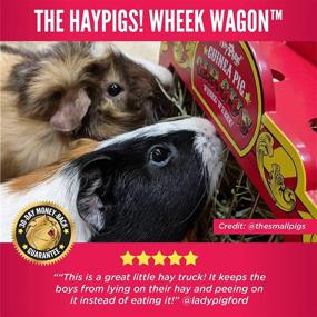 img 3 attached to HAYPIGS Вагончик для сена Wheek Wagon