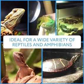 img 1 attached to 100W UVA UVB Mercury Vapor Bulb/Light/Lamp for Reptiles & Amphibians - Premium Heat & UV Source for Basking - Evergreen Pet Supplies