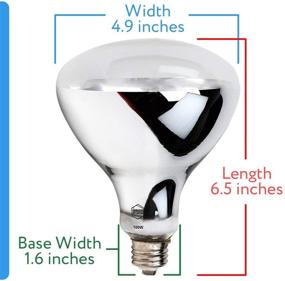 img 2 attached to 100W UVA UVB Mercury Vapor Bulb/Light/Lamp for Reptiles & Amphibians - Premium Heat & UV Source for Basking - Evergreen Pet Supplies