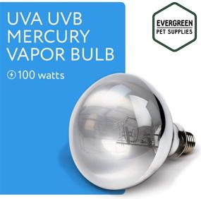 img 3 attached to 100W UVA UVB Mercury Vapor Bulb/Light/Lamp for Reptiles & Amphibians - Premium Heat & UV Source for Basking - Evergreen Pet Supplies