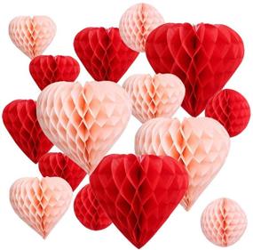 img 4 attached to 16 Pack Red Blush Pink Party Decoration Bundle: Pom Poms, Tissue Paper Honeycombs - Ideal for Wedding, Valentine's Day, Engagement, Bridal Shower, Baby Shower, Birthday