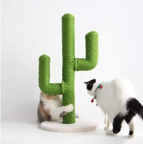 img 4 attached to 🌵 BingoPaw Large Cat Scratching Post: Cactus Design, Sisal Rope Climbing Frame with Flower Decor and Ball for Cats