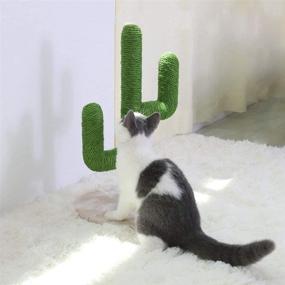 img 1 attached to 🌵 BingoPaw Large Cat Scratching Post: Cactus Design, Sisal Rope Climbing Frame with Flower Decor and Ball for Cats