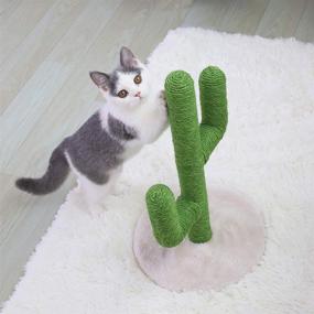 img 2 attached to 🌵 BingoPaw Large Cat Scratching Post: Cactus Design, Sisal Rope Climbing Frame with Flower Decor and Ball for Cats