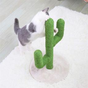 img 3 attached to 🌵 BingoPaw Large Cat Scratching Post: Cactus Design, Sisal Rope Climbing Frame with Flower Decor and Ball for Cats