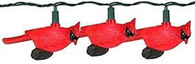 img 1 attached to 🐦 Set of 10 Festive Red Cardinal Bird Novelty Christmas Lights with Green Wire - KSA