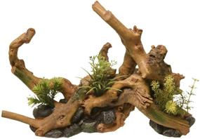 img 1 attached to 🌿 Captivating Blue Ribbon Driftwood Centerpiece: Enhance Your Space with Lush Plants