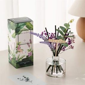 img 3 attached to 🌸 Cocodor Lavender Reed Diffuser - 6.7oz (200ml), Garden Lavender Scent - Home & Office Decor, Fragrance & Gifts