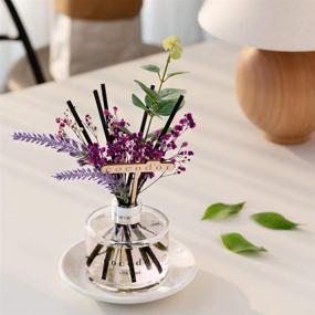 img 2 attached to 🌸 Cocodor Lavender Reed Diffuser - 6.7oz (200ml), Garden Lavender Scent - Home & Office Decor, Fragrance & Gifts