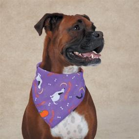 img 1 attached to Get Your Paws on 🐾 Stylish Aria Happy Howl-O-Ween Purple Dog Bandanas!