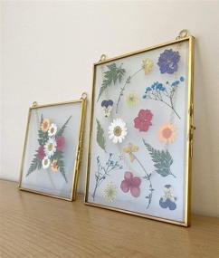 img 1 attached to Glass Frame Pressed Flowers Artwork