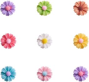 img 4 attached to 🌼 Airssory 80 Pcs 8-Colors Daisy Flower Shape Resin Slime Charms Beads Buttons Flatback Cabochons - DIY Hair Ornament Scrapbooking Accessories