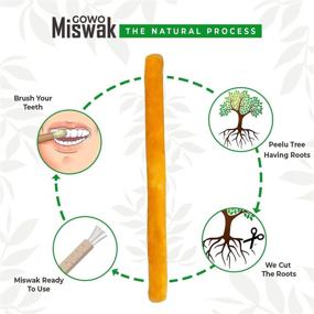 img 2 attached to 🌿 GOWO 3 Pack Miswak Sticks and Holders - Natural Teeth Whitening Kit - Herbal Teeth Whitener and Breath Freshener - No Toothpaste Required - Eco-friendly Toothbrush Set (Includes 3 Sticks and 3 Holders)