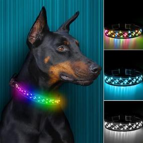 img 4 attached to Enhanced Visibility and Safety: LED Dog Collar with D Ring, USB Rechargeable, Adjustable, Waterproof, and Reflective Stripes