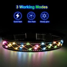 img 3 attached to Enhanced Visibility and Safety: LED Dog Collar with D Ring, USB Rechargeable, Adjustable, Waterproof, and Reflective Stripes