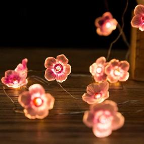 img 1 attached to 🌸 Pink Cherry Blossom String Lights, 10ft 30 LEDs Battery Operated Fairy String Lights for Girls Bedroom, Christmas, Spring, Nursery, Wedding, Indoor Outdoor Decoration