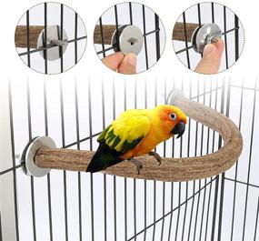 img 2 attached to 🦜 Enhance Your Parrot's Environment with Rypet Natural Wood U-Shaped Perch Swing Stand