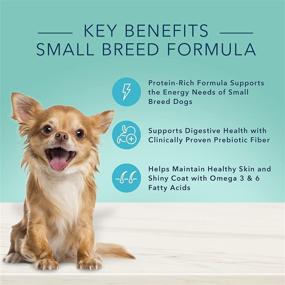 img 2 attached to 🐶 Small & Mighty: Blue Buffalo True Solutions for Natural Small Breed Adult Dry and Wet Dog Food with Chicken