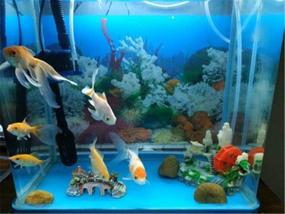 img 1 attached to Donau Aquarium Background Landscape Backdrop Fish & Aquatic Pets