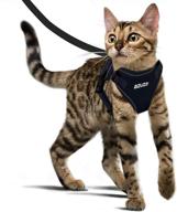 azuza harness reflective breathable blackroyal логотип